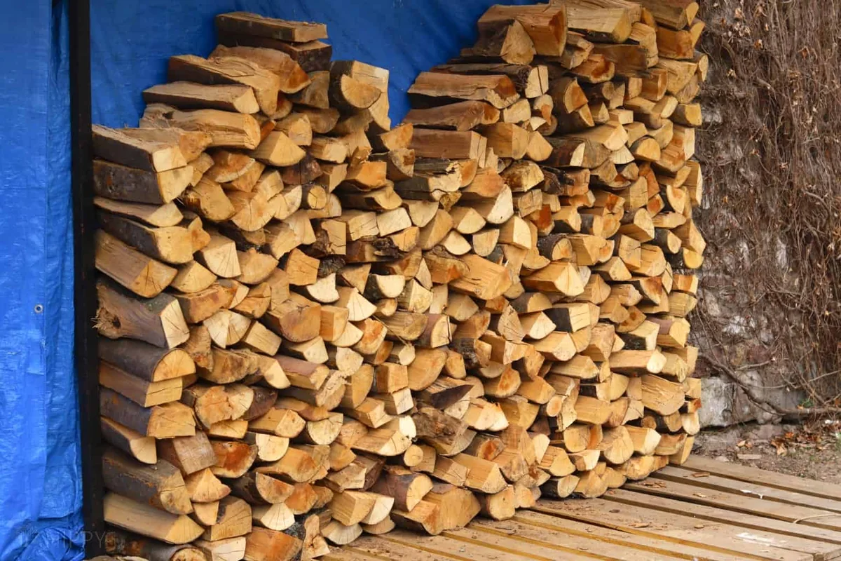 Seasoned firewood stacked and ready for delivery
